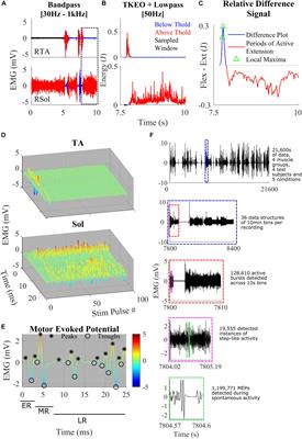 Novel Activity Detection Algorithm to Characterize Spontaneous Stepping During Multimodal Spinal Neuromodulation After Mid-Thoracic Spinal Cord Injury in Rats